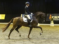 Eyecatcher 201113_1975